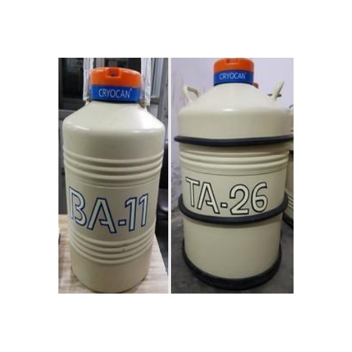 IBP LN2 Containers